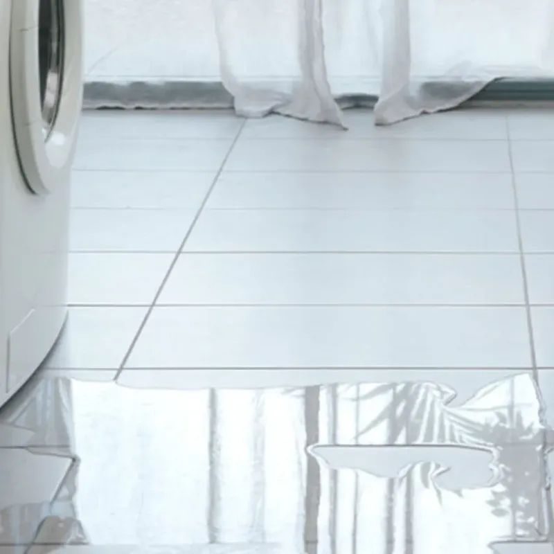 Appliance Leak Cleanup in Panola County, TX