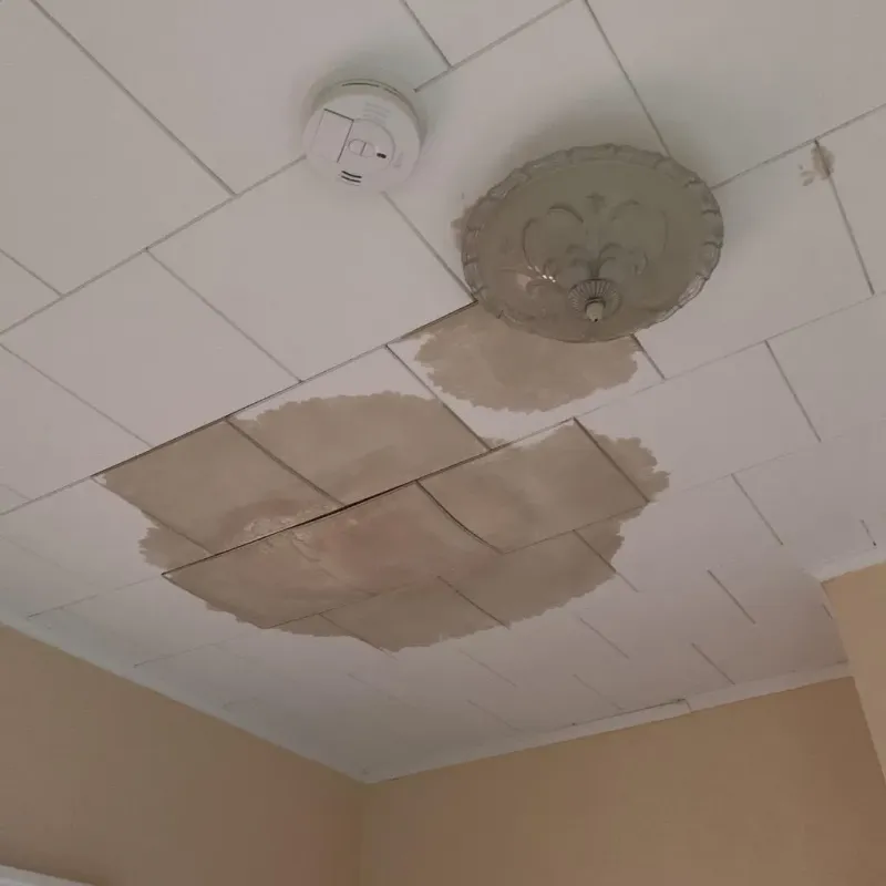 Ceiling Water Damage Repair in Panola County, TX